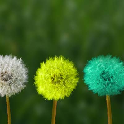 Cultural Transformation